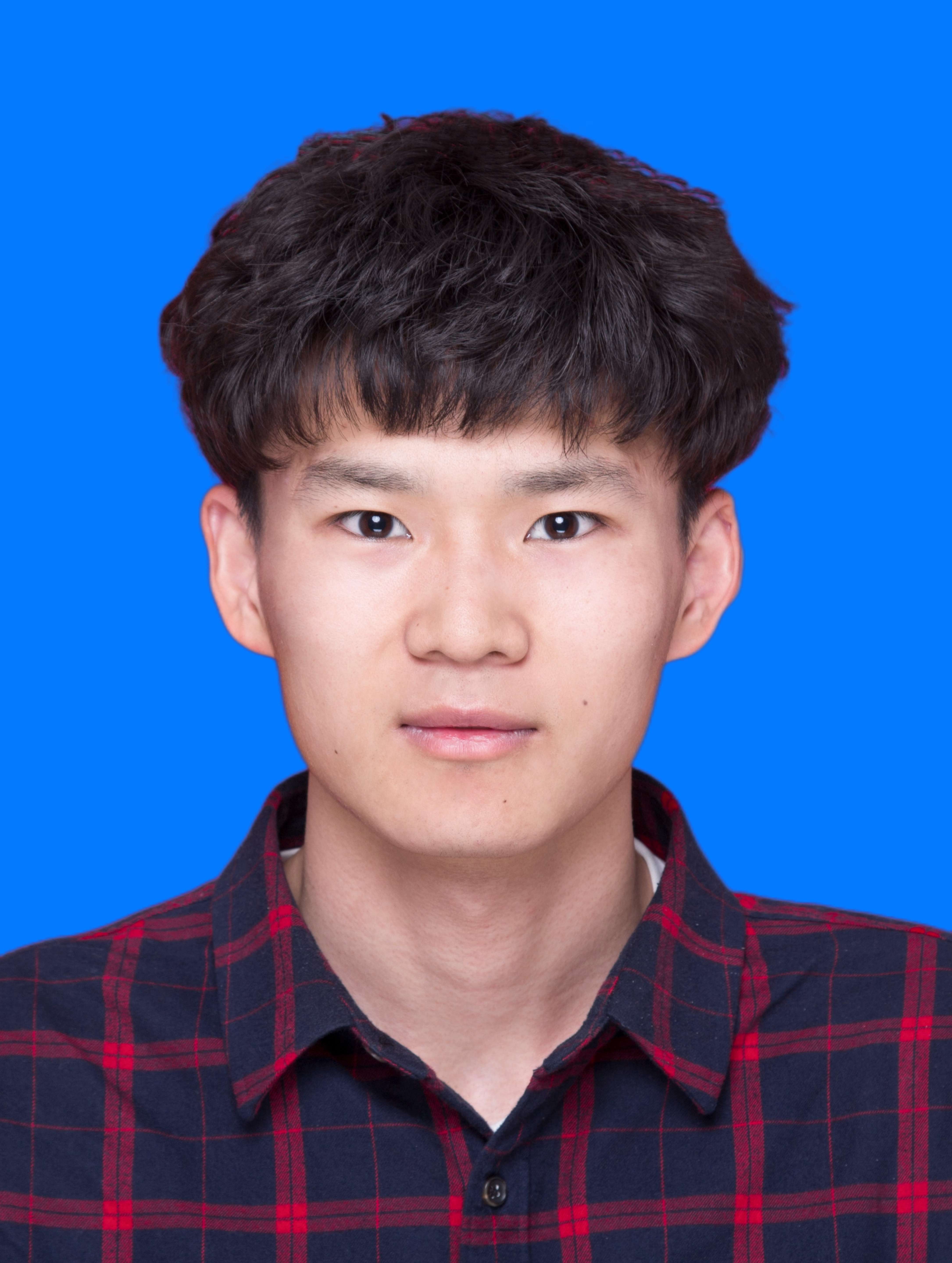 杨卜